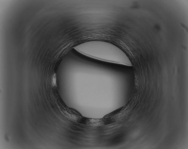X0000097650095200802290857