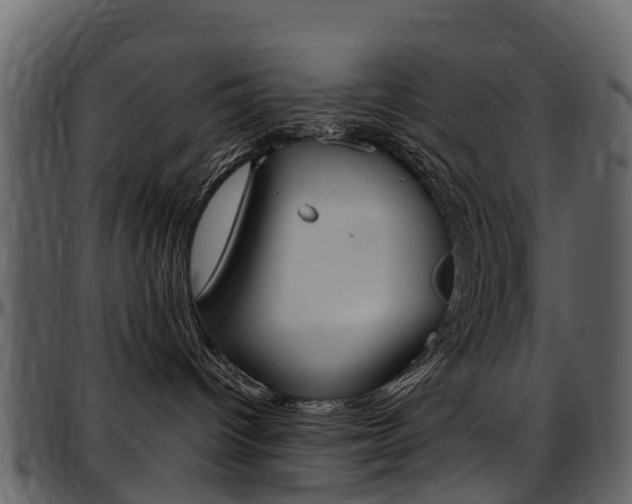 X0000097650096200802290857