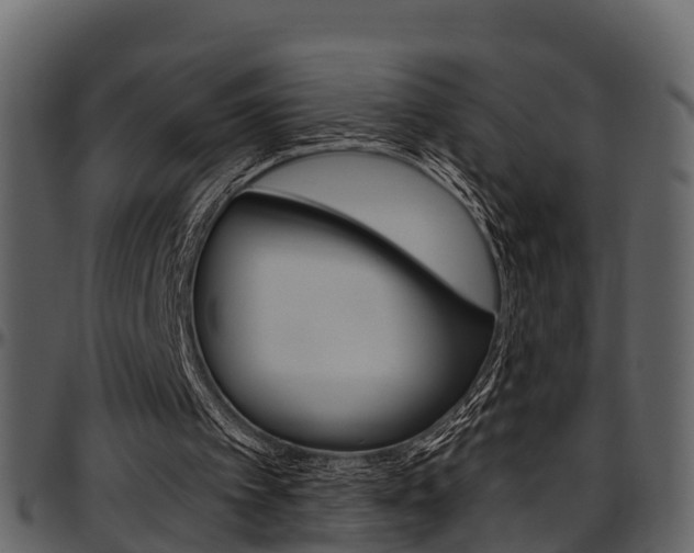 X0000097650097200802290856