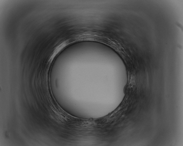 X0000097650099200802290856