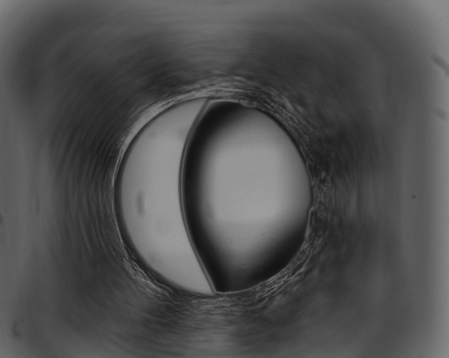 X0000097650100200802290856