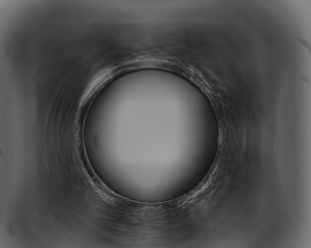 X0000097650101200802290856