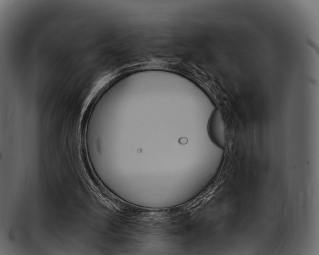 X0000097650102200802290856