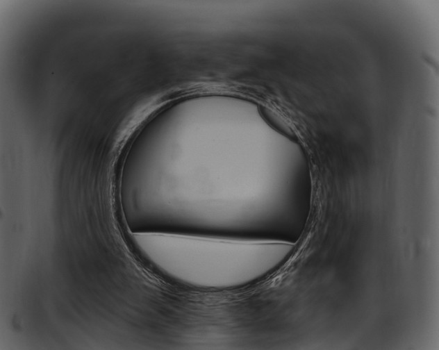 X0000097650103200802290856