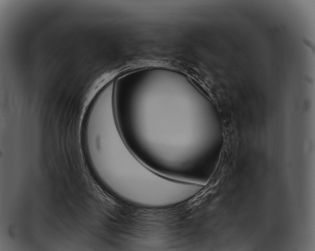 X0000097650104200802290856