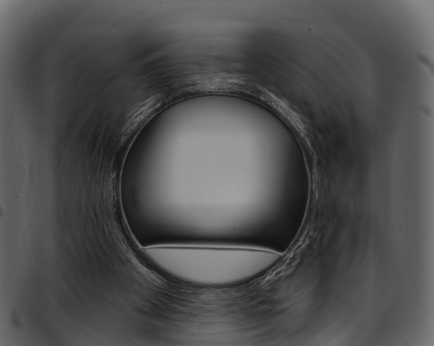 X0000097650105200802290856