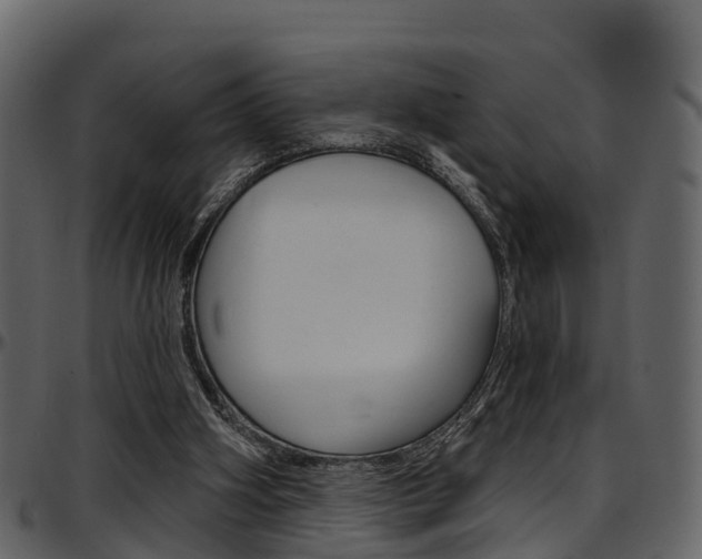 X0000097650106200802290856