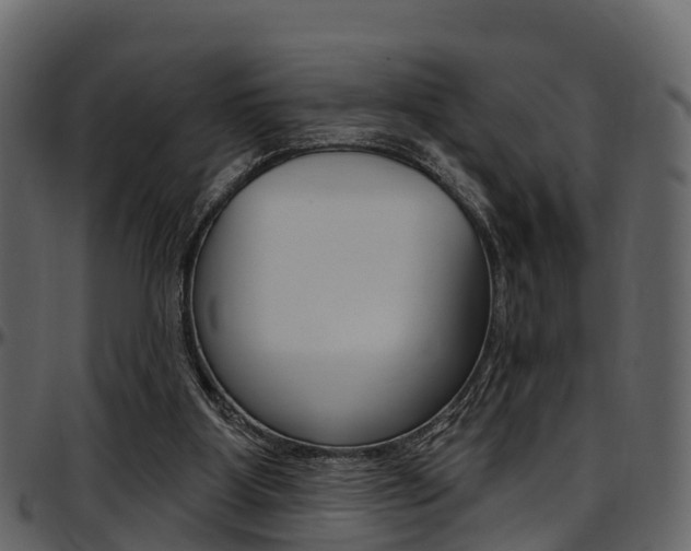 X0000097650107200802290856