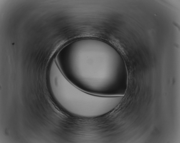 X0000097650108200802290856