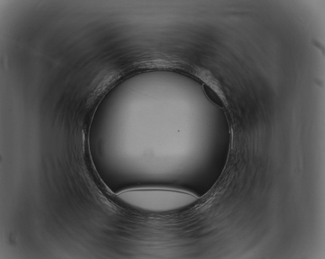 X0000097650109200802290856