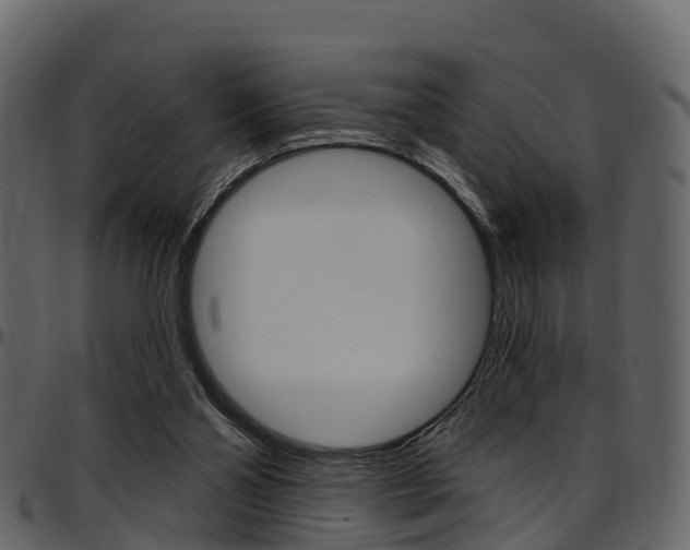 X0000097650110200802290856