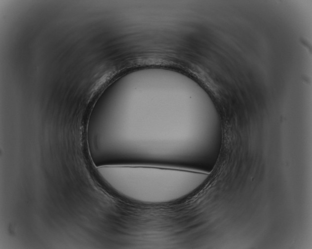 X0000097650111200802290856