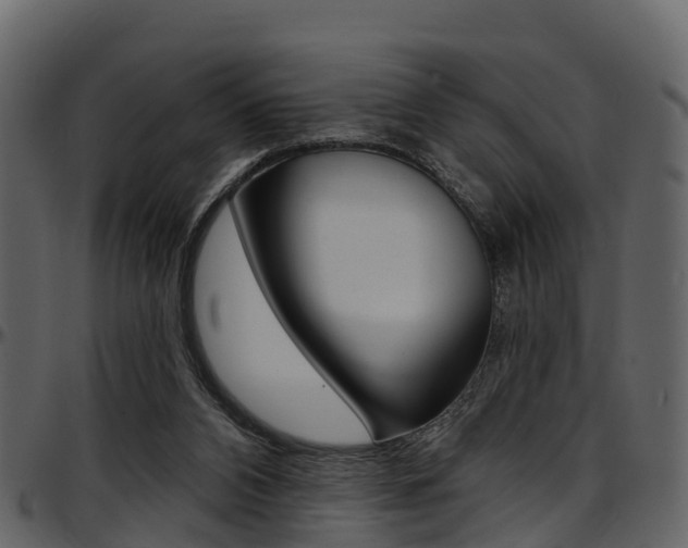 X0000097650112200802290856