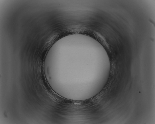 X0000097650114200802290856