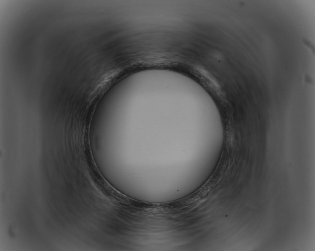 X0000097650115200802290856