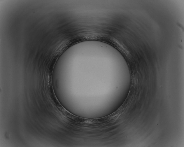 X0000097650117200802290856