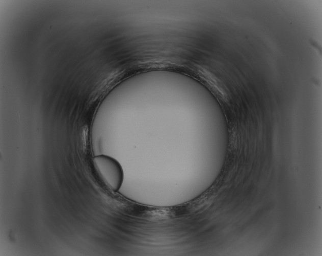 X0000097650118200802290856