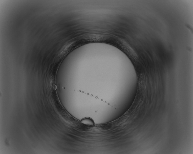 X0000097650119200802290856