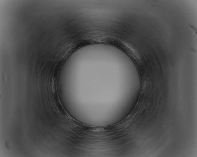 X0000097650121200802290856