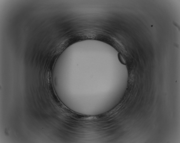 X0000097650122200802290856