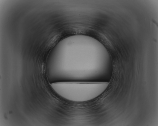 X0000097650123200802290856