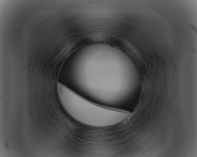 X0000097650124200802290856