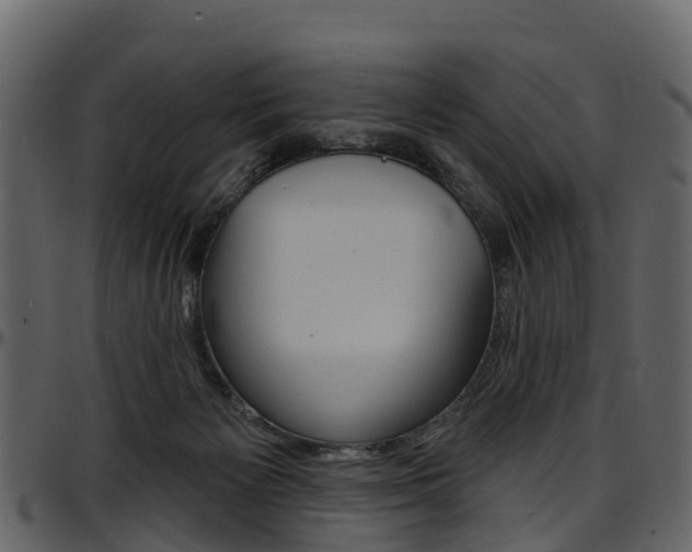 X0000097650125200802290856