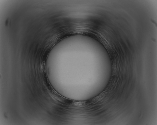 X0000097650126200802290856