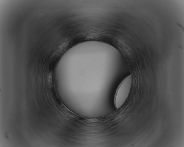 X0000097650127200802290856
