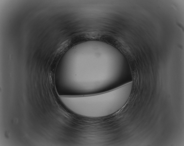 X0000097650128200802290856