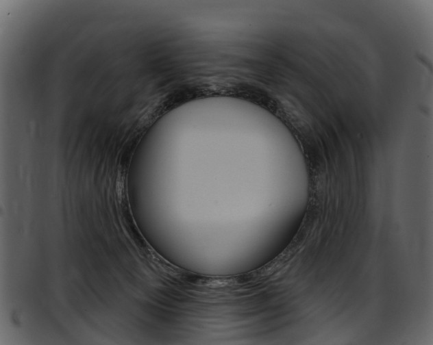 X0000097650129200802290856