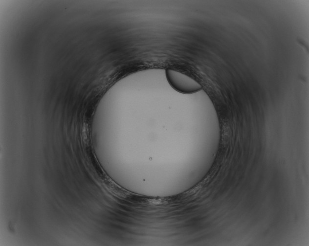 X0000097650130200802290856