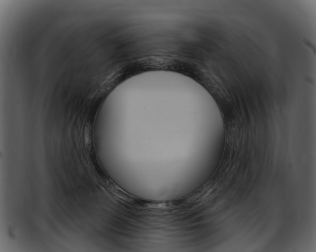 X0000097650131200802290856