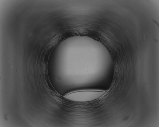 X0000097650132200802290856