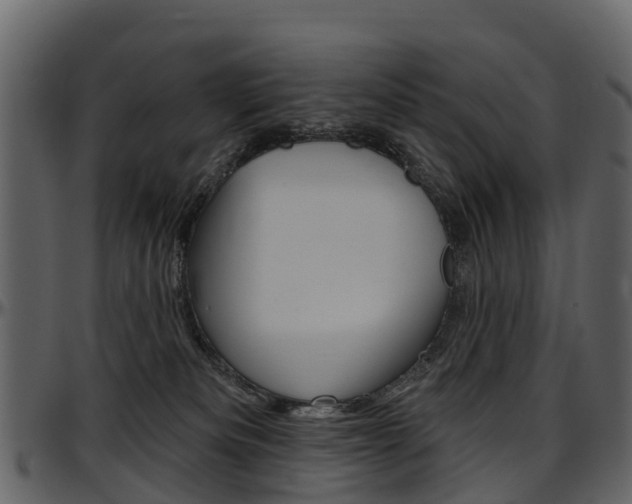 X0000097650133200802290856