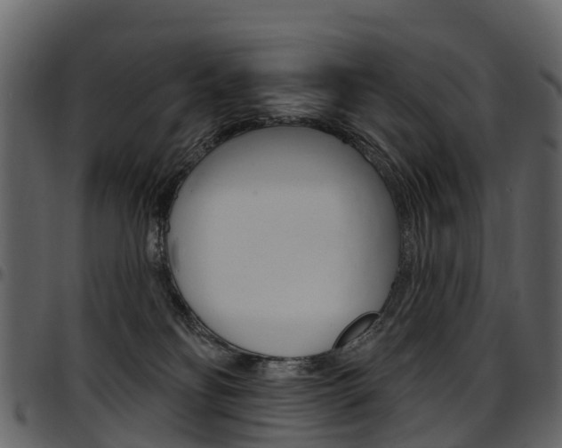 X0000097650134200802290856