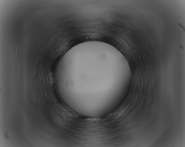 X0000097650135200802290856