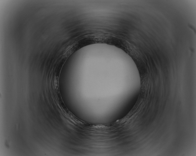 X0000097650137200802290856