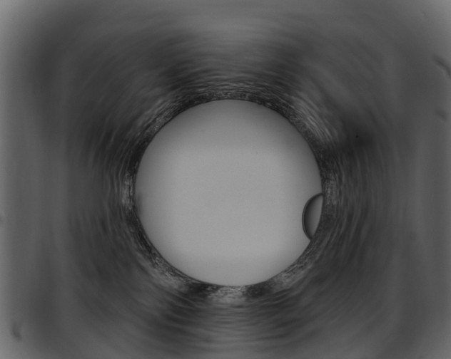 X0000097650138200802290856