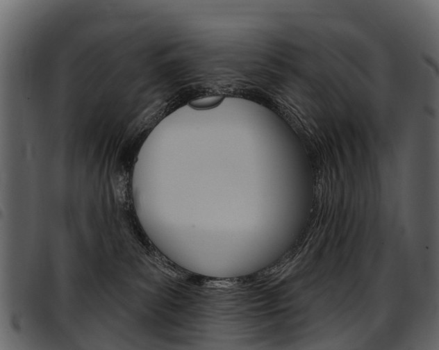 X0000097650139200802290856