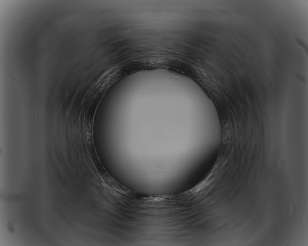 X0000097650140200802290856