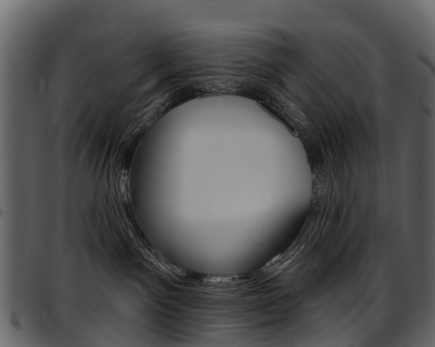 X0000097650141200802290856