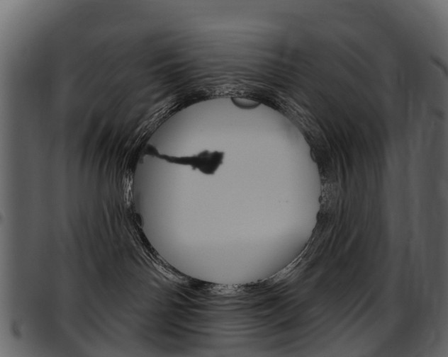 X0000097650142200802290856