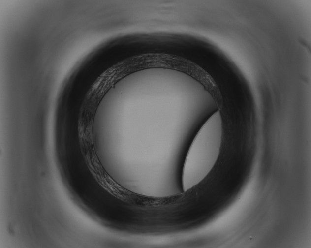 X0000097650143200802290856