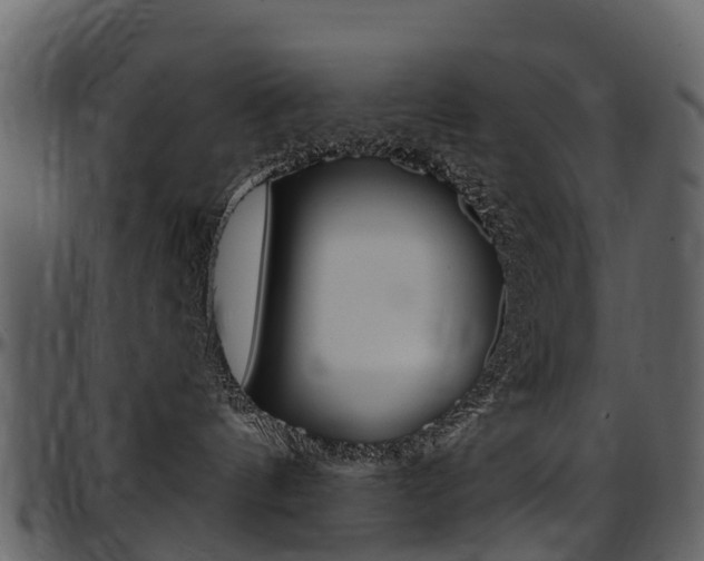 X0000097650144200802290856