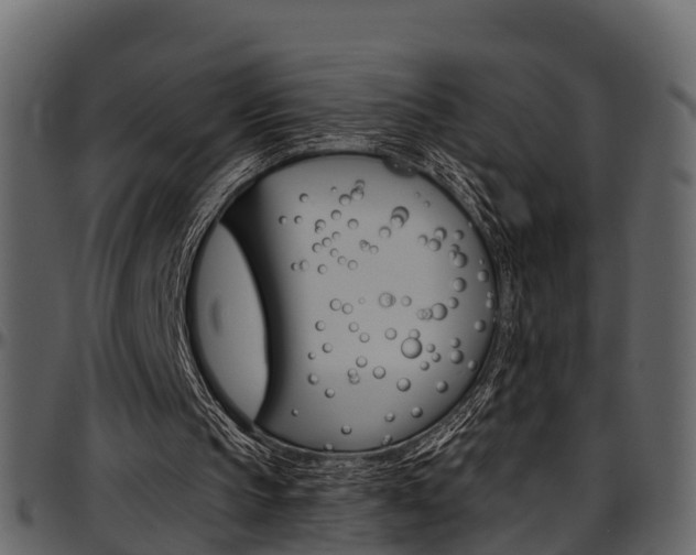 X0000097650145200802290855