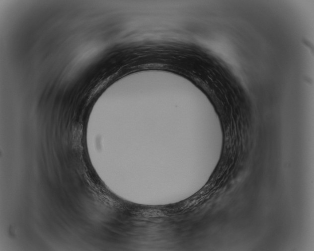 X0000097650146200802290855