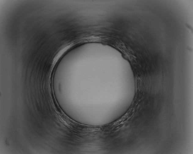 X0000097650147200802290855