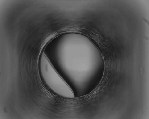 X0000097650148200802290855