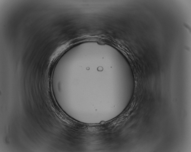 X0000097650149200802290855